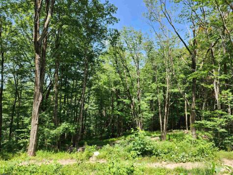 1373 Rocky Road Harman WV 26270