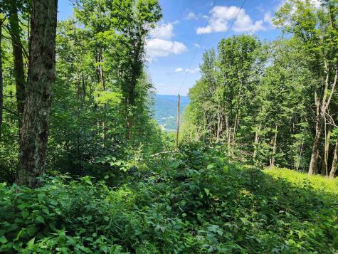 1373 Rocky Road Harman WV 26270