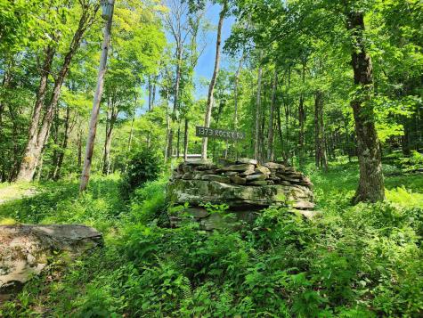 1373 Rocky Road Harman WV 26270