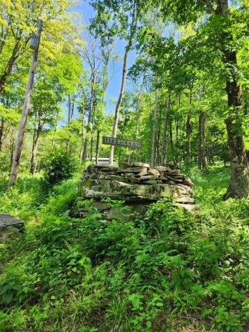 1373 Rocky Road Harman WV 26270