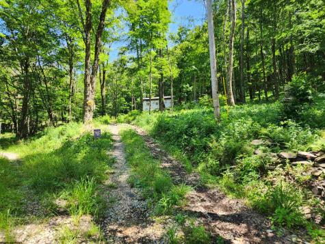 1373 Rocky Road Harman WV 26270