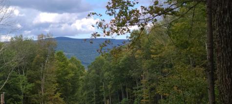 1373 Rocky Road Harman WV 26270