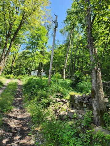 1373 Rocky Road Harman WV 26270