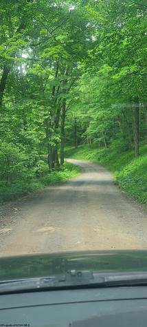 1373 Rocky Road Harman WV 26270