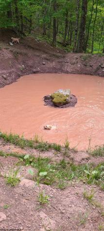 1373 Rocky Road Harman WV 26270