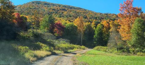 1373 Rocky Road Harman WV 26270