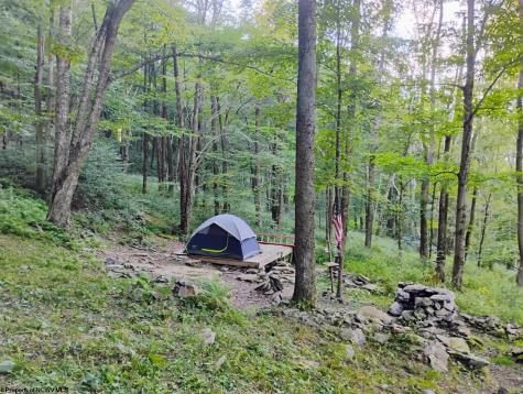 1373 Rocky Road Harman WV 26270