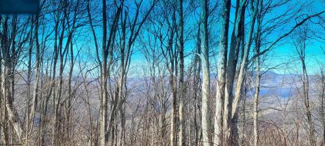 1373 Rocky Road Harman WV 26270