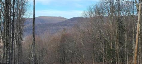 1373 Rocky Road Harman WV 26270