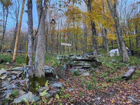 1373 Rocky Road Harman WV 26270