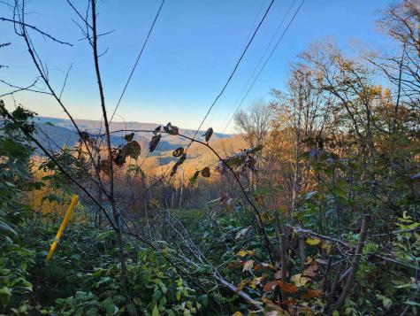 1373 Rocky Road Harman WV 26270