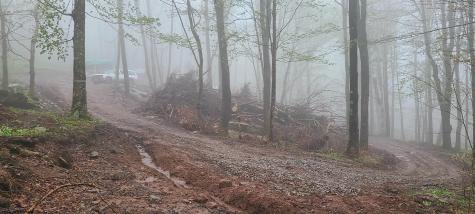 1373 Rocky Road Harman WV 26270