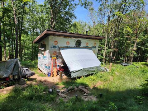 1373 Rocky Road Harman WV 26270