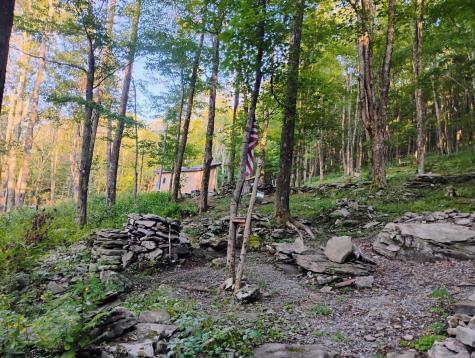 1373 Rocky Road Harman WV 26270