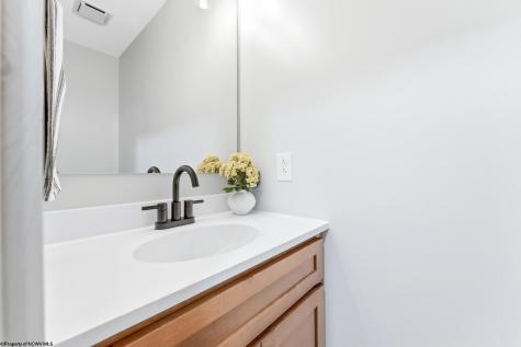 626 E Alpine Drive Terra Alta WV 26764