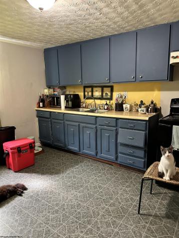 226 Mason Dixon Highway Maidsville WV 26541