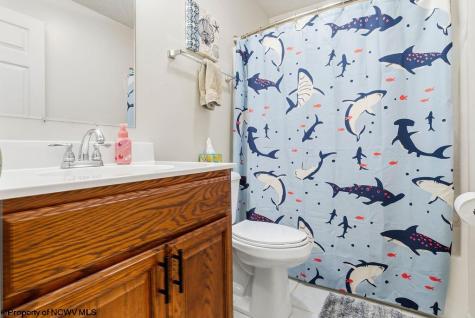 149 Glady Creek Drive Fairmont WV 26554