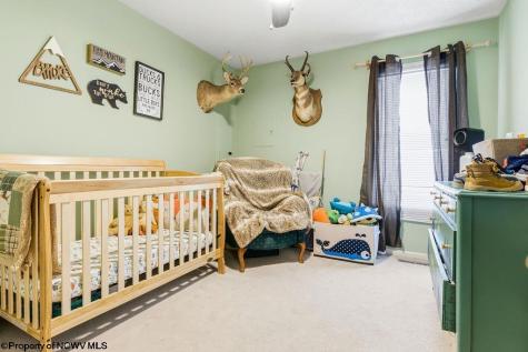 149 Glady Creek Drive Fairmont WV 26554