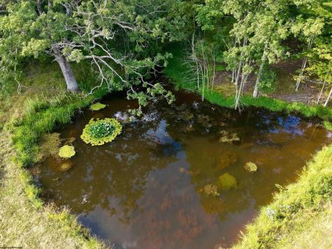 12 Oak Grove Cemetery Road Terra Alta WV 26764