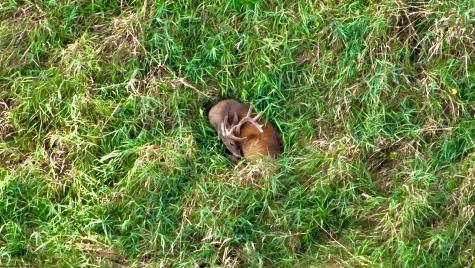 12 Oak Grove Cemetery Road Terra Alta WV 26764