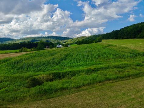 12 Oak Grove Cemetery Road Terra Alta WV 26764