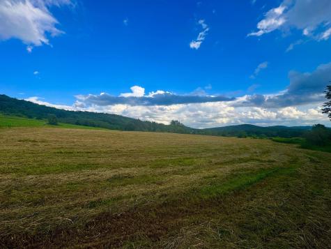 12 Oak Grove Cemetery Road Terra Alta WV 26764