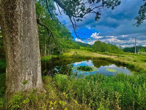 12 Oak Grove Cemetery Road Terra Alta WV 26764