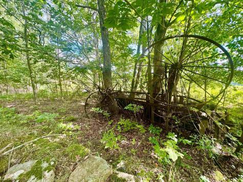 12 Oak Grove Cemetery Road Terra Alta WV 26764