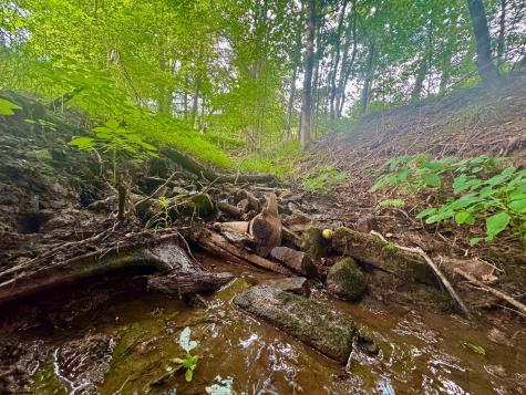 12 Oak Grove Cemetery Road Terra Alta WV 26764