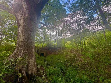 12 Oak Grove Cemetery Road Terra Alta WV 26764