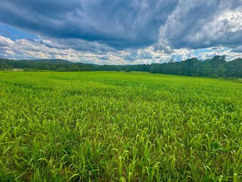 12 Oak Grove Cemetery Road Terra Alta WV 26764