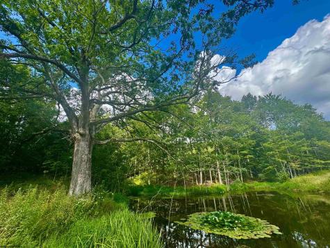 12 Oak Grove Cemetery Road Terra Alta WV 26764