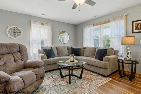 57 Stags Leap Drive Belington WV 26250