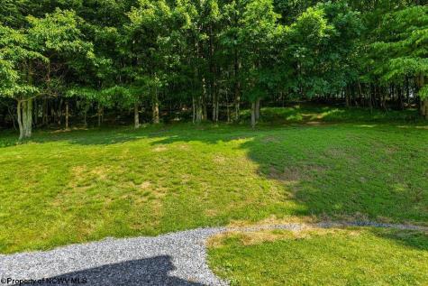 57 Stags Leap Drive Belington WV 26250
