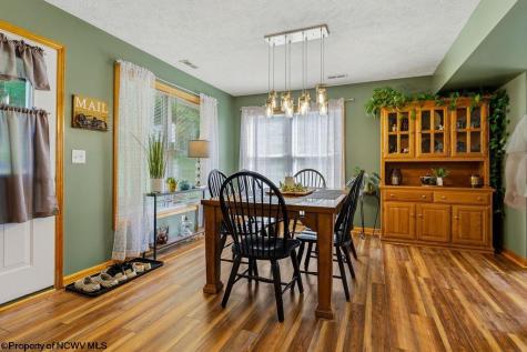 57 Stags Leap Drive Belington WV 26250