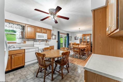 113 Joe's Drive Fairview WV 26570
