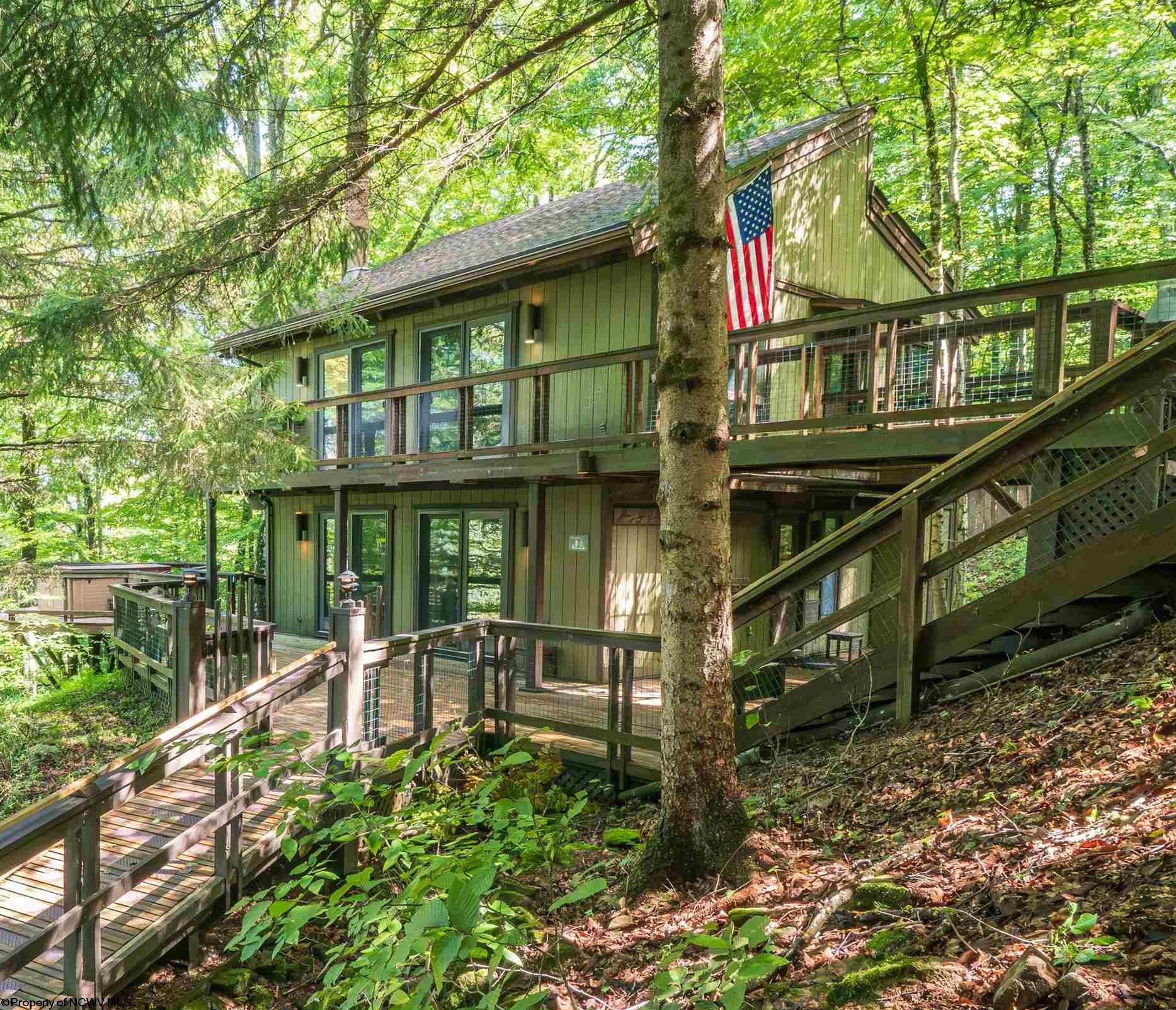 270 Sand Run Road Davis WV 26260