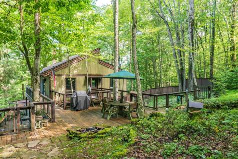 270 Sand Run Road Davis WV 26260
