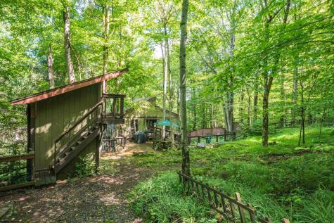 270 Sand Run Road Davis WV 26260