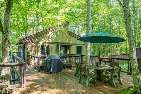 270 Sand Run Road Davis WV 26260