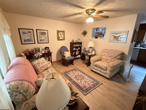 99 Artist Lane Coalton WV 26257