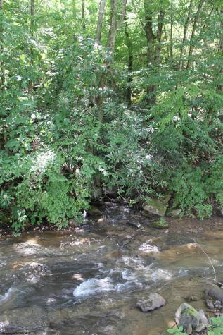 1506 Holly River Road Webster Springs WV 26288