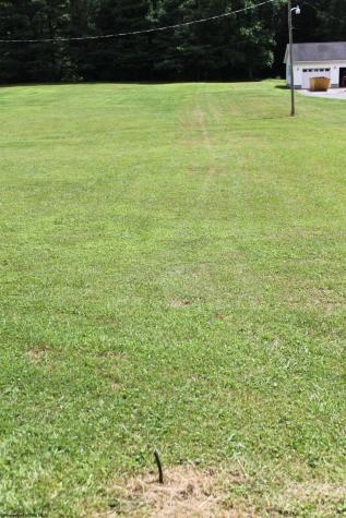 1506 Holly River Road Webster Springs WV 26288