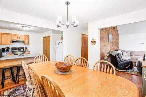 868 Cabin Mountain Road Davis WV 26260