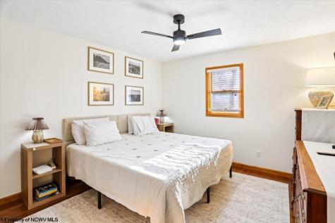 868 Cabin Mountain Road Davis WV 26260