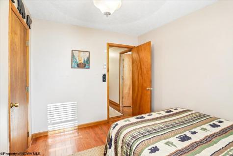 868 Cabin Mountain Road Davis WV 26260
