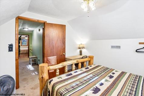 868 Cabin Mountain Road Davis WV 26260