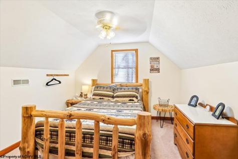 868 Cabin Mountain Road Davis WV 26260