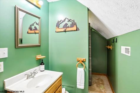 868 Cabin Mountain Road Davis WV 26260