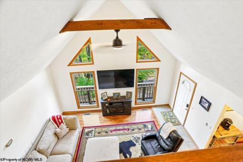 868 Cabin Mountain Road Davis WV 26260